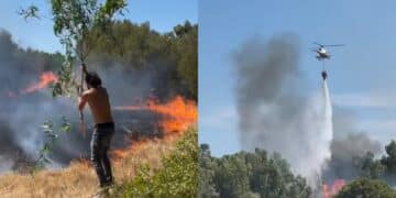 Uta, grosso incendio mette a rischio le arnie: l’intervento coraggioso di un apicoltore