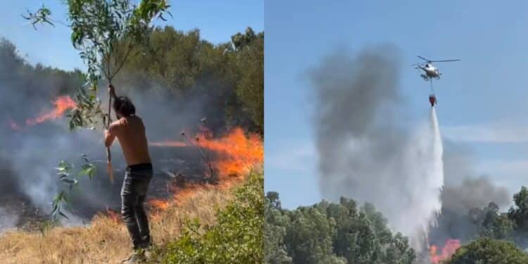 Uta, grosso incendio mette a rischio le arnie: l’intervento coraggioso di un apicoltore