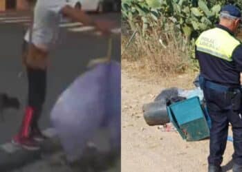 Quartu, altri furbetti dei rifiuti catturati dalle fototrappole nel litorale