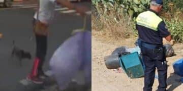 Quartu, altri furbetti dei rifiuti catturati dalle fototrappole nel litorale