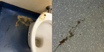 Cagliari, nel bagno del Pronto Soccorso del Brotzu anche vomito e formiche