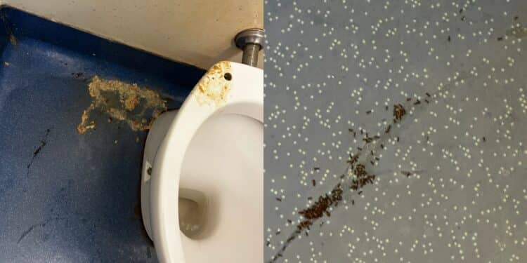 Cagliari, nel bagno del Pronto Soccorso del Brotzu anche vomito e formiche