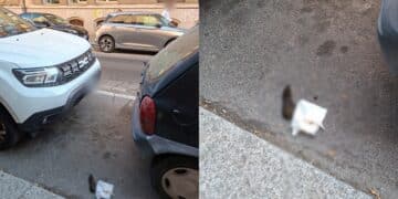 Cagliari, via Crispi scambiata per wc: escrementi in strada a due passi da bar e marciapiede