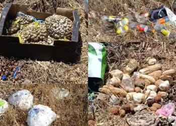 Pane e sacchi di lumache gettati via, ennesima discarica tra Villacidro e Samassi