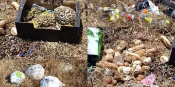 Pane e sacchi di lumache gettati via, ennesima discarica tra Villacidro e Samassi