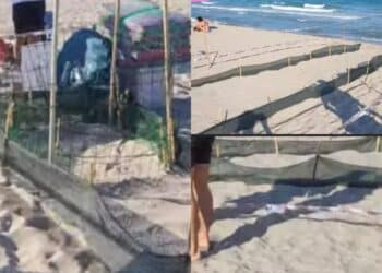 Poetto, il nido di mamma tartaruga acchiappa l’attenzione di turisti e bagnanti
