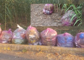 Samassi, con il monopattino alle due della notte in giro per il paese per gettare immondizia non differenziata