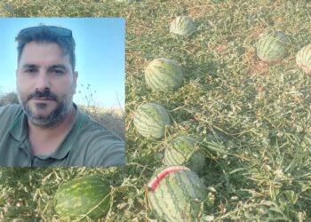 Da Barrali a Pimentel la disperazione di chi ha perso tutto a causa del maltempo: “Venite a vedere i danni con i vostri occhi”