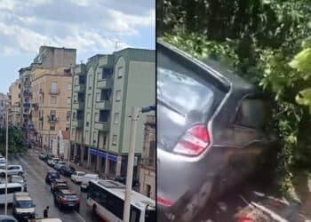 Ficus crollato in viale Sant’Avendrace a Cagliari, gli automobilisti: “Illesi per miracolo”
