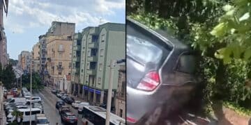 Ficus crollato in viale Sant’Avendrace a Cagliari, gli automobilisti: “Illesi per miracolo”