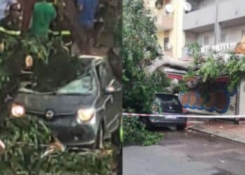 Albero caduto in via Sant’Avendrace a Cagliari, la testimonianza shock della donna colpita