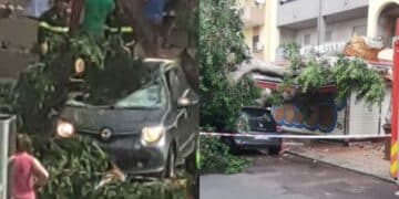 Albero caduto in via Sant’Avendrace a Cagliari, la testimonianza shock della donna colpita