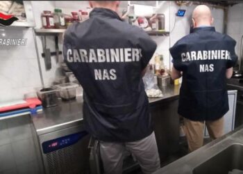 Cibo di dubbia provenienza e carenza d’igiene: sanzionato un chiosco al Poetto