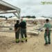 Blitz della Forestale nel litorale di Muravera: rimossi 300 ombrelloni abusivi, 15 mila euro di sanzioni
