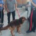 Cagliari, due cani salvati a Pirri: il padrone li teneva chiusi in veranda