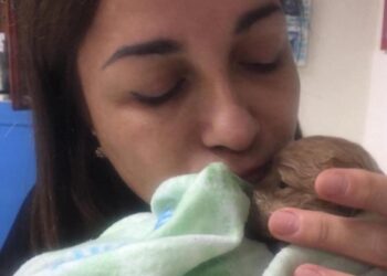 Cagliari, donazioni in ricordo della dottoressa amica degli animali