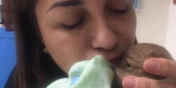 Cagliari, donazioni in ricordo della dottoressa amica degli animali