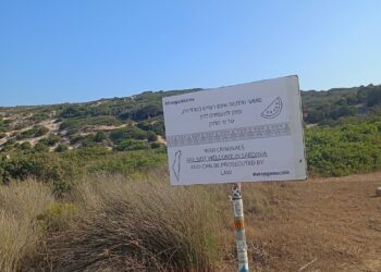 La comunità ebraica contro i cartelloni a Chia: “Trasformiamo l’odio”
