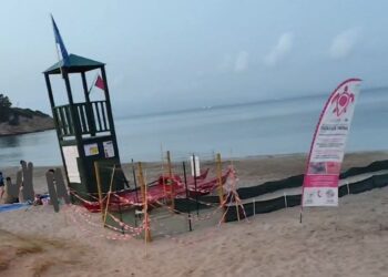 Sant’Antioco, pallonate all’interno del recinto dove è custodito il nido di una tartaruga