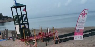 Sant’Antioco, pallonate all’interno del recinto dove è custodito il nido di una tartaruga