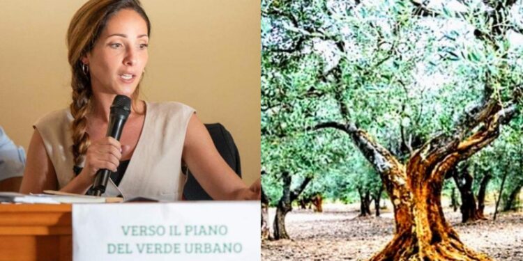 Sestu, sospeso il cantiere del parco Quartiere Ateneo