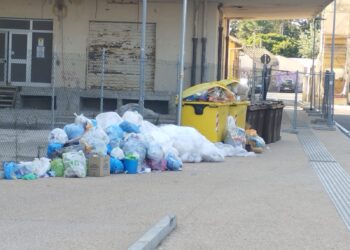 Cagliari, viale La Plaia invasa dai rifiuti: puzza, mosche e percolato anche al Campus universitario