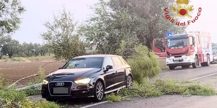 Paura sulla Ss 197 tra Furtei e Villasanta, grosso ramo cade su un’auto in transito