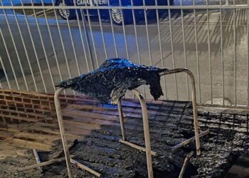 Uta, fiamme in un bar: il rogo di origine dolosa