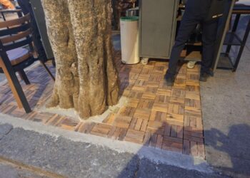 Cagliari, via il cemento dallo storico albero di piazza Yenne e maxi multe in arrivo