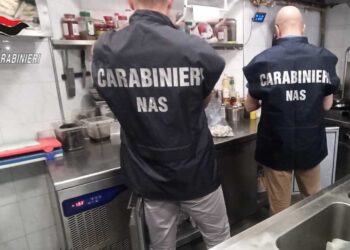 Acqua al piombo e topi morti, i Nas sospendono un ristorante a Portixeddu