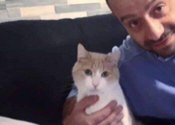 Igor Sollai, la difesa si prepara all’appello dopo l’ergastolo per l’omicidio di Francesca Deidda