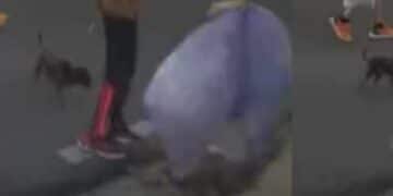 Quartu, segnalate come furbette dei rifiuti si fanno avanti: “Abbiamo solo raccolto dei sacchetti”