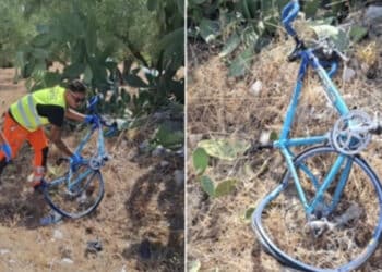 Tragedia della strada: 3 ciclisti travolti e uccisi da un’auto