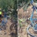 Tragedia della strada: 3 ciclisti travolti e uccisi da un’auto