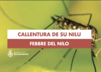 Serramanna, volatile positivo alla Febbre del Nilo: scattano le raccomandazioni dal Comune