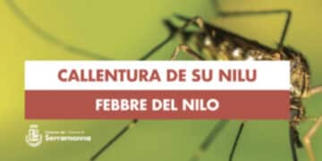 Serramanna, volatile positivo alla Febbre del Nilo: scattano le raccomandazioni dal Comune