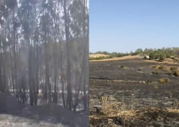 Serdiana, è doloso l’incendio di ieri: 100 ettari bruciati, “un polmone verde andato in fumo”