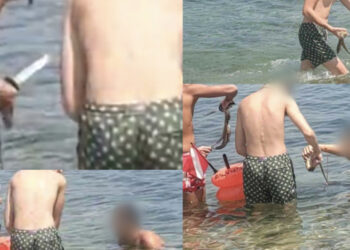 Pula, con coltello in mano in mezzo ai bagnanti catturano ed eviscerano alcuni polpi