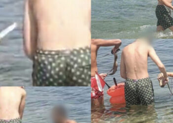 Pula, polpi pescati e uccisi con un coltello a due passi dalle rovine di Nora. il sindaco Cabasino: “No alla violenza sugli animali”