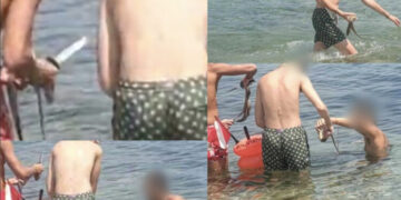 Pula, polpi pescati e uccisi con un coltello a due passi dalle rovine di Nora. il sindaco Cabasino: “No alla violenza sugli animali”