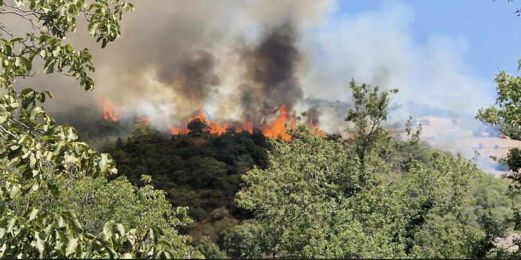 Seulo minacciata dal fuoco: canadair e elicotteri sul posto per domare un grosso incendio