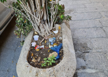 Cagliari, fioriera o pattumiera? Accade anche questo in pieno centro storico: i netturbini? Guarda e passa!