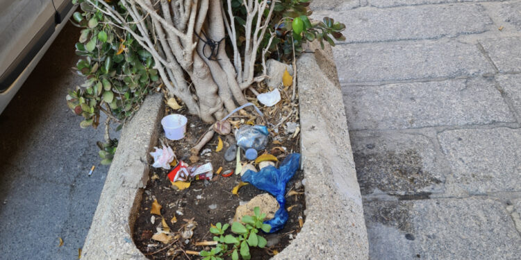 Cagliari, fioriera o pattumiera? Accade anche questo in pieno centro storico: i netturbini? Guarda e passa!