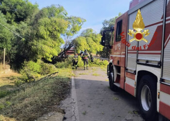 Senorbì, cade un pino sulla Sp5 e due auto si scontrano frontalmente: un ferito