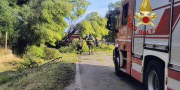 Senorbì, cade un pino sulla Sp5 e due auto si scontrano frontalmente: un ferito