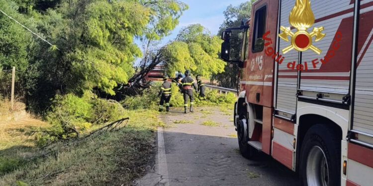 Senorbì, cade un pino sulla Sp5 e due auto si scontrano frontalmente: un ferito