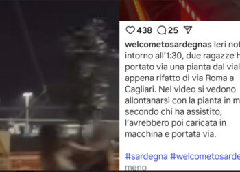 Cagliari, rubata una pianta dal bosco di Boeri: due ragazze riprese con l’alberello in mano all’1,30 del mattino