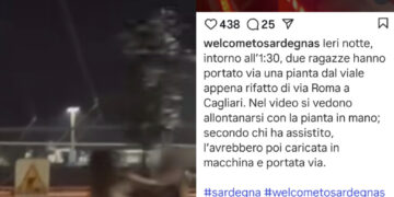 Cagliari, rubata una pianta dal bosco di Boeri: due ragazze riprese con l’alberello in mano all’1,30 del mattino