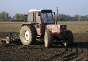 Tragedia in un’azienda agricola: 15enne travolto e ucciso da un trattore