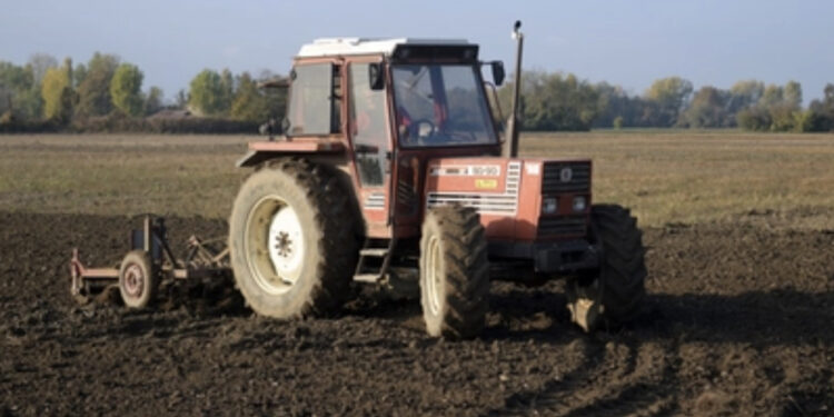 Tragedia in un’azienda agricola: 15enne travolto e ucciso da un trattore